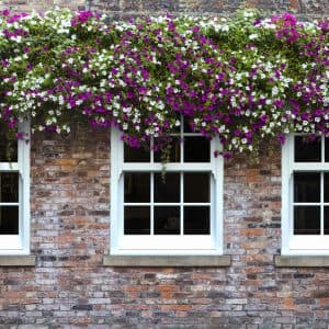 Quickslide Windows window product